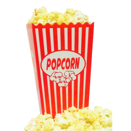 Popcorn Boxes - Large (Pack of 20)